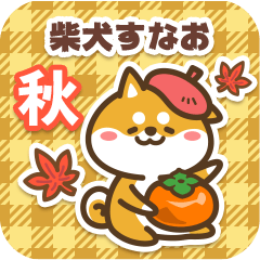 Shiba Sunao in Autumn 2