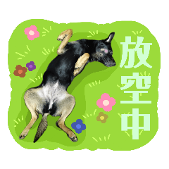 Rascal Dogs Meimei Part3