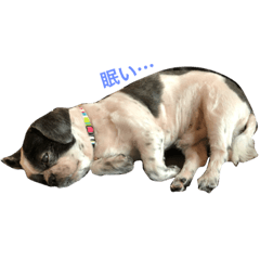 natsumi_20200918150528