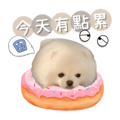 頭家快樂