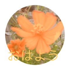 可愛いフラワースタンプ