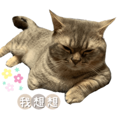 Q寶寶の日常