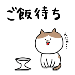 Shirocha cat sticker