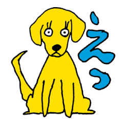 Yellow Labrador Retriever