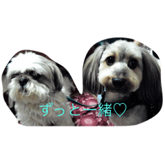 suzu_20200918205954