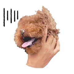 Dogggg lover