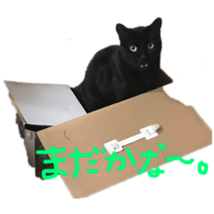 mizuki_20200918201548