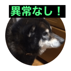 john_20200918213213