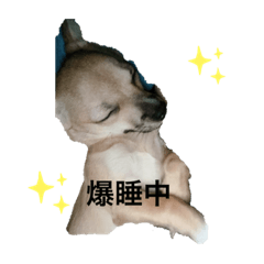 yanagi_20200918215231