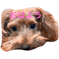 Chie_20200918220753