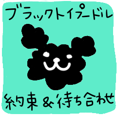 Black Toy Poodle YOMOGI -for Meeting up-