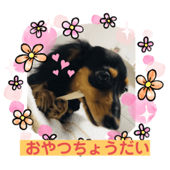hana_20200919120020
