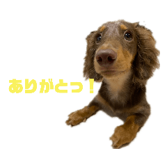 Deku_Stamp2
