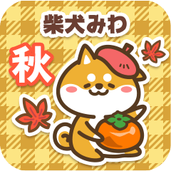 Shiba Miwa in Autumn 2