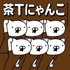 Tea T cat (every day)