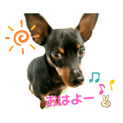 miki_20200919155202