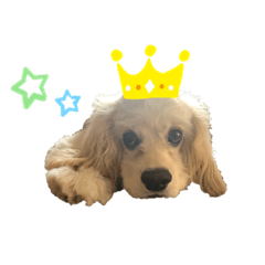 ayumi_20200919131630