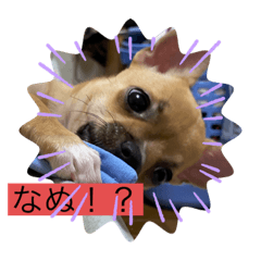 yanagi_20200919161214