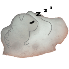 Cute Small Collection