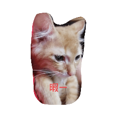 hayato_20200919162002