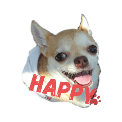 hime.wagaya