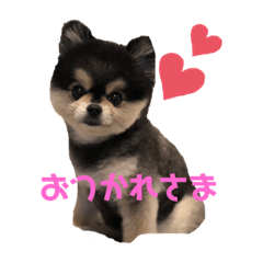 AYUMI_20200919151921