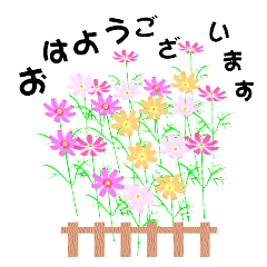 3d 動くお花 秋桜ちゃん Line スタンプ Line Store