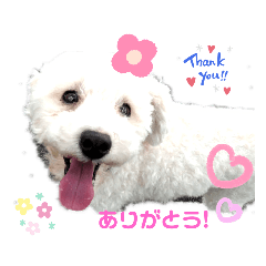 miki_20200919222718