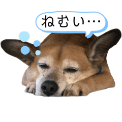 Takashi_20200920012116