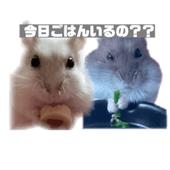 rina_20200920085329