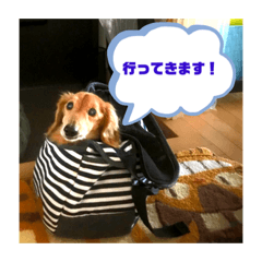 Kaito_20200919201104