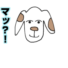 hachi_20200919195206