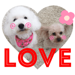 arisa_20200919215107