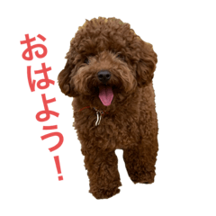 nanami_20200919223311