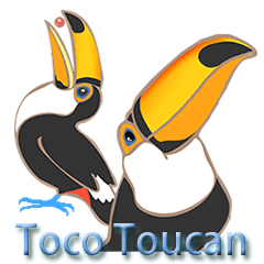 Vividly Toco Toucans!