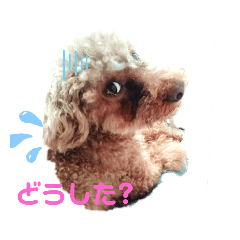 miki_20200920144724