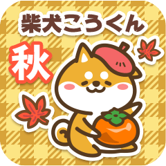 Shiba Koukun in Autumn 2