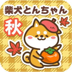 Shiba Tonchan in Autumn 2