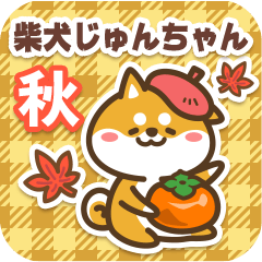 Shiba Junchan in Autumn 2