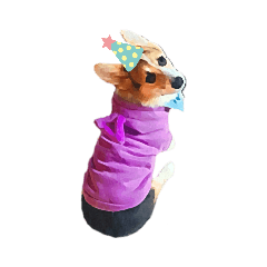 melon_20200919215455