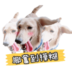 我是可愛的豆豆  ʕ •ᴥ•ʔ