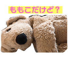 Rei_20200920162351