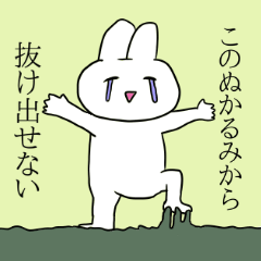 Idol fan rabbit!