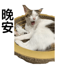 ㄋㄧㄠ生活用語