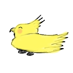 cockatiel drawing