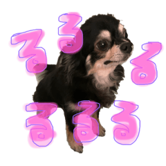 monmon_20200920171205