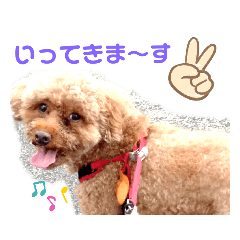miki_20200920171726