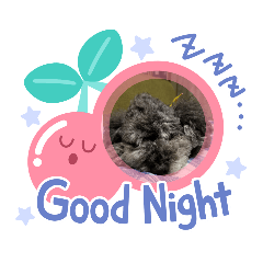 Michiko_20200920191806