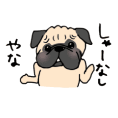 パグちゃんスタンプ1 Line スタンプ Line Store