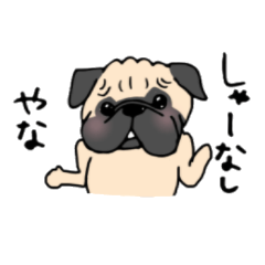 パグちゃんスタンプ1 - LINE スタンプ | LINE STORE パグちゃんスタンプ1 - LINE スタンプ | LINE STORE